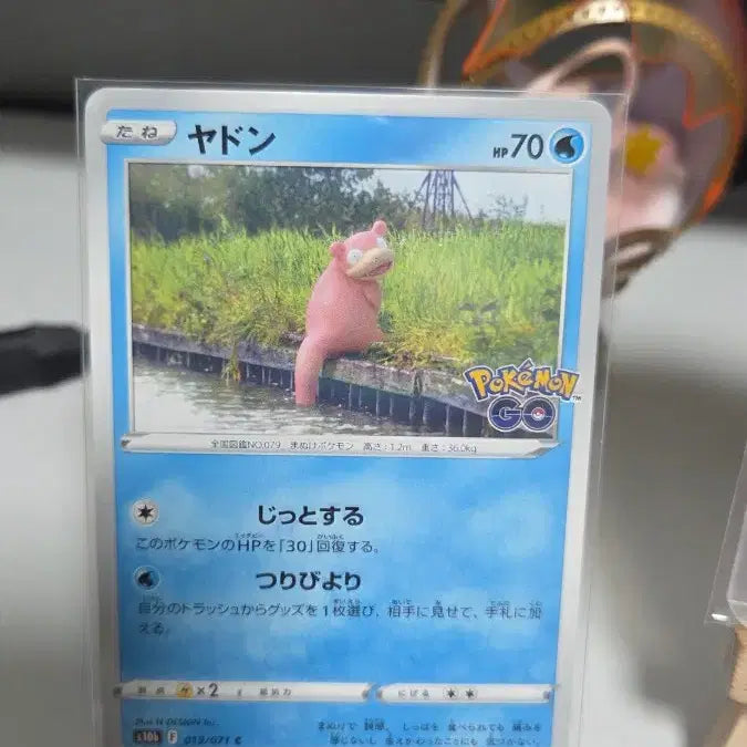 [BUNJANG] Pokemon Card Slowpoke Bundle Set / 포켓몬 카드 야돈 일괄