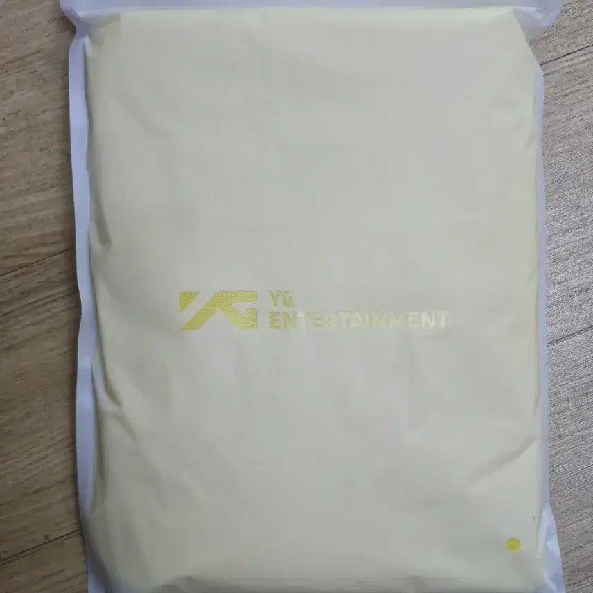 [BUNJANG] BIGBANG Concert Raincoat / 빅뱅 콘서트 우비