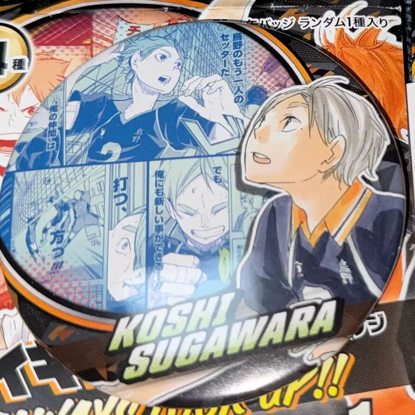 [BUNJANG] Haikyuu Sugawara Koushi Look Up Original Art Can Badge / 하이큐 스가와라 룩업 원화 캔뱃지