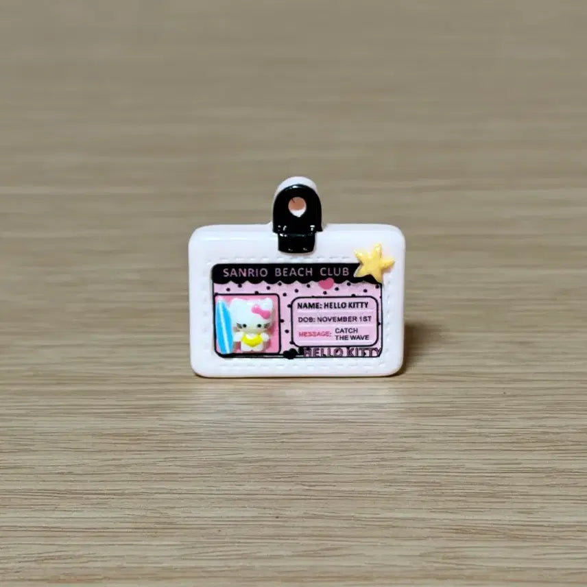 [BUNJANG] Miniature Kitty Name Tag / 미니어쳐 키티 명찰