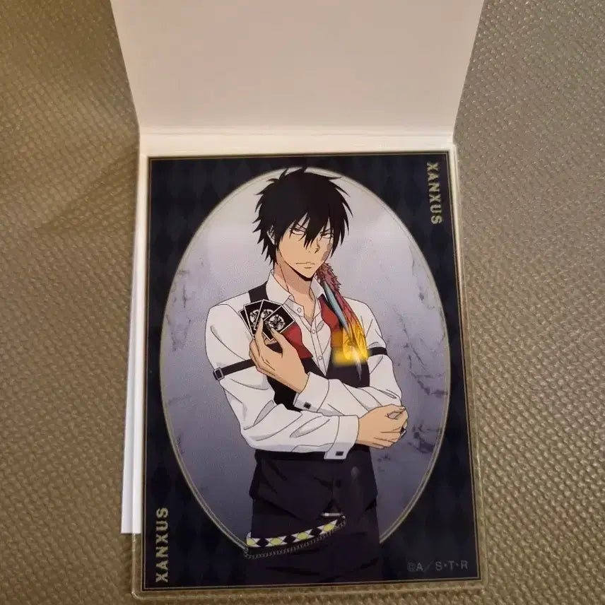 [BUNJANG] Reborn! Vongola Accademia Akihabara Acrylic Card / 가정교사히트맨리본 가히리 아크릴 카드