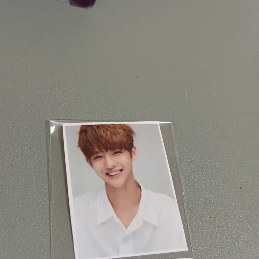 [BUNJANG] Bae Jinyoung Actor ID Photo / 배진영 증명사진
