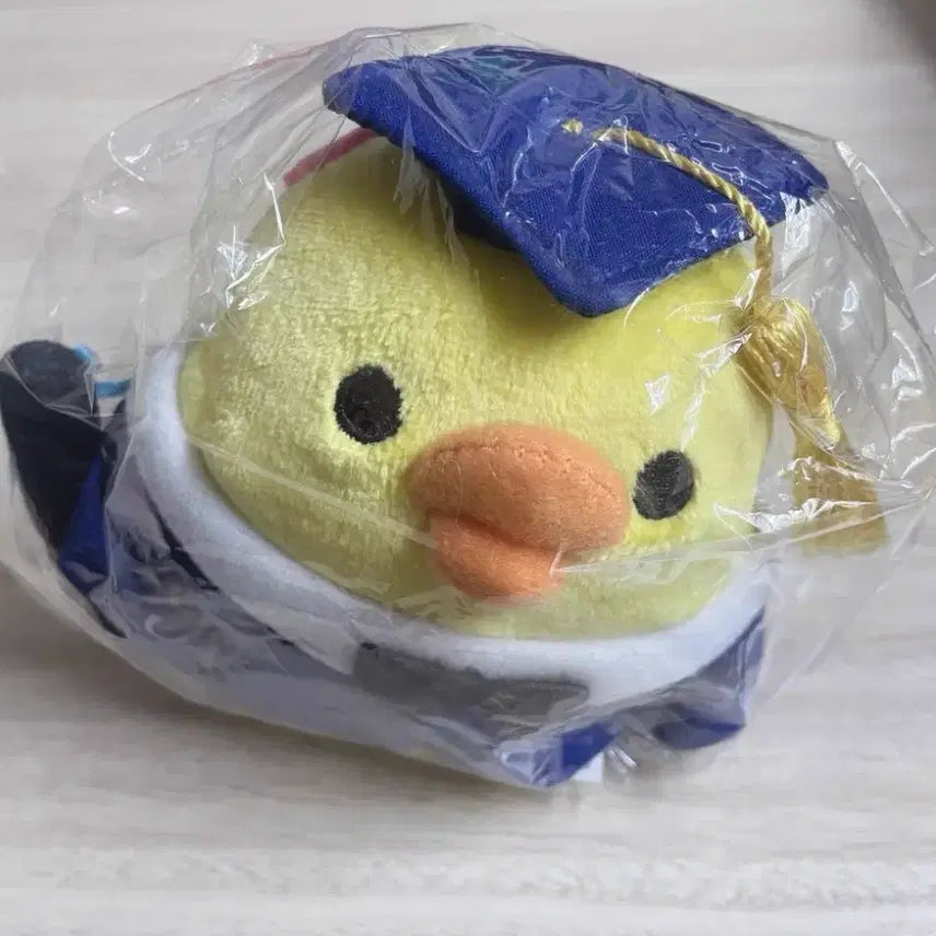 [BUNJANG] San-X Kiroitori Graduation Robe Plush / San-X 키이로이토리 한정 학사복