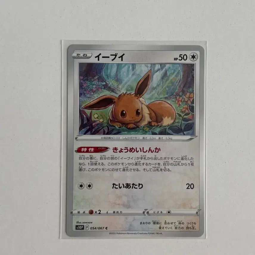 [BUNJANG] Pokemon Card Eevee (Japanese) / 포켓몬카드 이브이 (일판)