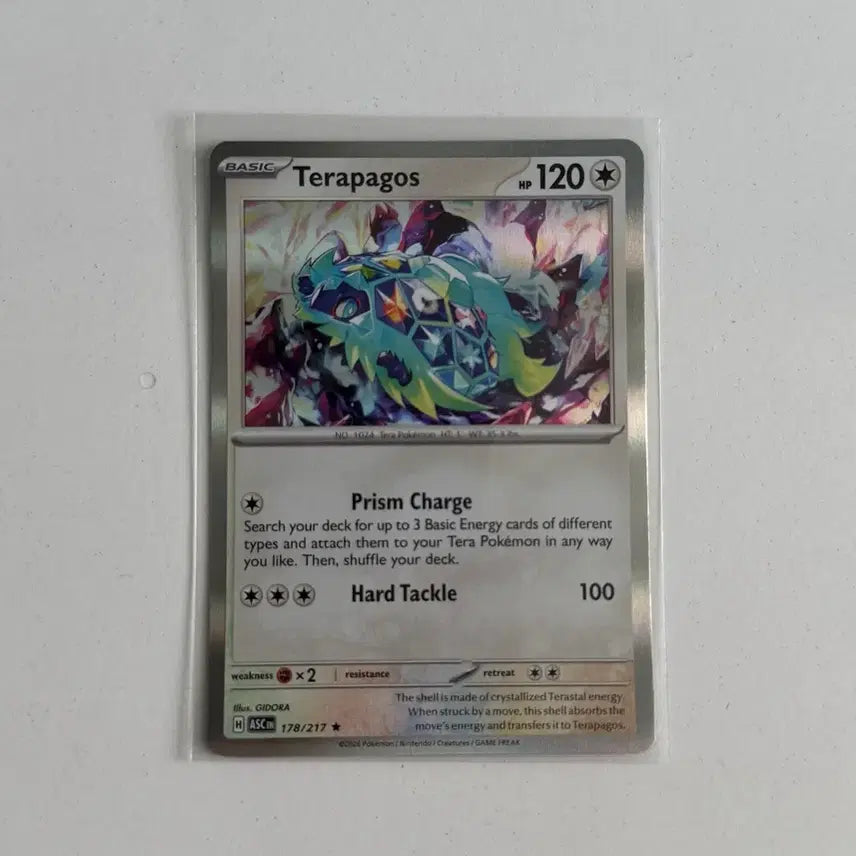 [BUNJANG] Pokemon Terapagos (North America Version) / 포켓몬스터 테라파고스 (북미판)