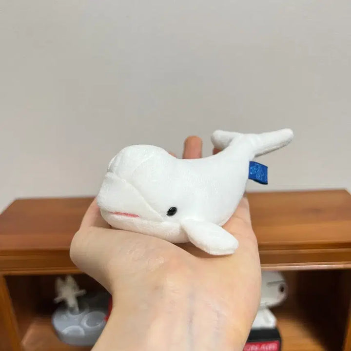 [BUNJANG] Vintage Beluga Dolphin Plush / 일본 빈티지 벨루가 인형 돌고래