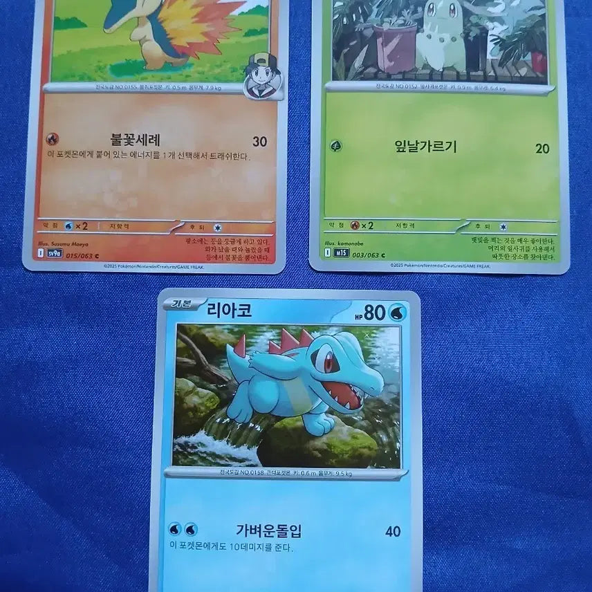 [BUNJANG] Starter Pokémon Cards Cyndaquil Totodile Chikorita Bundle Set / 스타팅 포켓몬 카드 브케인 치코리타 리아코 3장 일괄