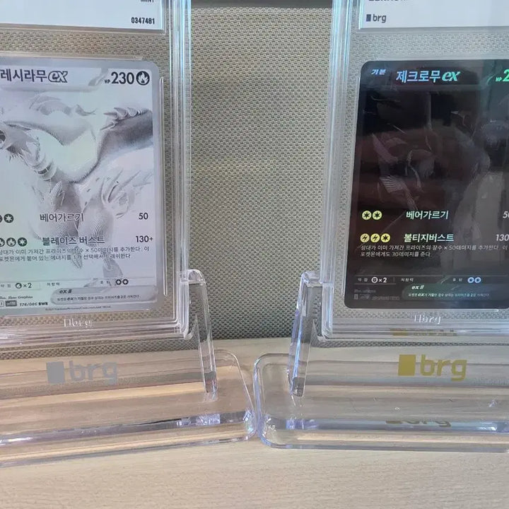 [BUNJANG] Reshiram &amp; Zekrom Full Set Limited Edition Trading Cards / [등급카드] 레시라무, 제크로무 풀세트 판매