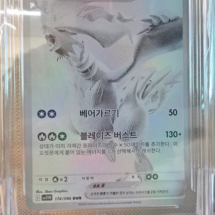[BUNJANG] Reshiram &amp; Zekrom Full Set Limited Edition Trading Cards / [등급카드] 레시라무, 제크로무 풀세트 판매