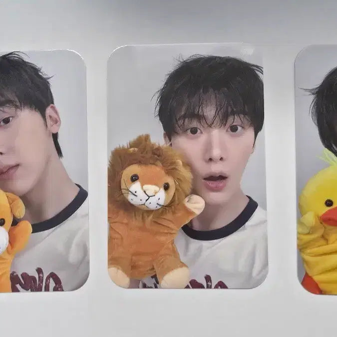 [BUNJANG] ASTRO Yoon Sanha Rising Star Hand Puppet POB Set / 아스트로 윤산하 미공포 라이징스타 손인형