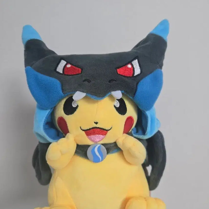 [BUNJANG] Pokemon Poncho Pikachu Mega Charizard / 포켓몬스터 판초 피카츄 메가리자몽