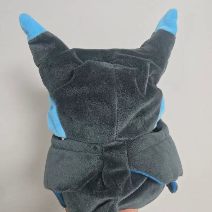 [BUNJANG] Pokemon Poncho Pikachu Mega Charizard / 포켓몬스터 판초 피카츄 메가리자몽