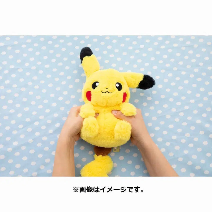 [BUNJANG] Takara Tomy Pyokorin Pikachu Plush Toy / 타카라토미 피코요린 플러쉬 보들보들 피카츄 인형(덤+포케피스 마스코트 피카츄)