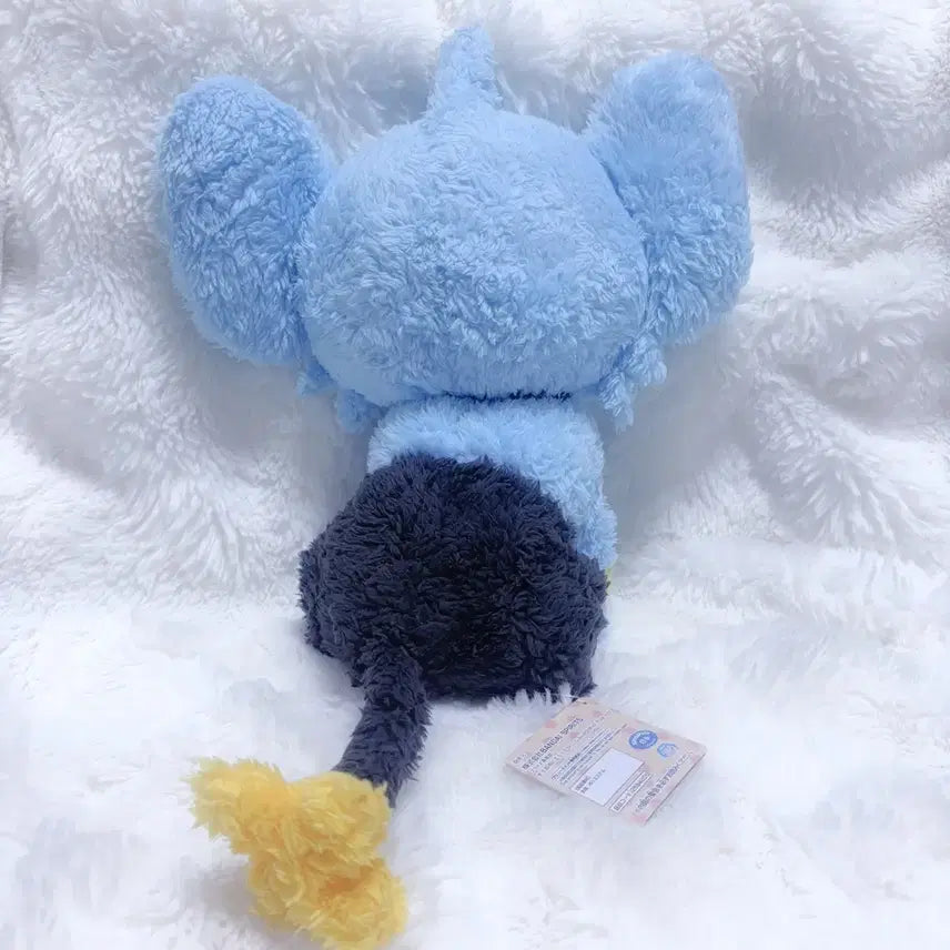 [BUNJANG] Pokemon Shinx Plush New Product / 포켓몬 꼬링크 인형 새상품