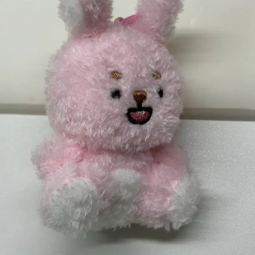 [BUNJANG] DAY6 Wonpil Sitting Petit Dolls / 앉은쁘띠멀즈 원필