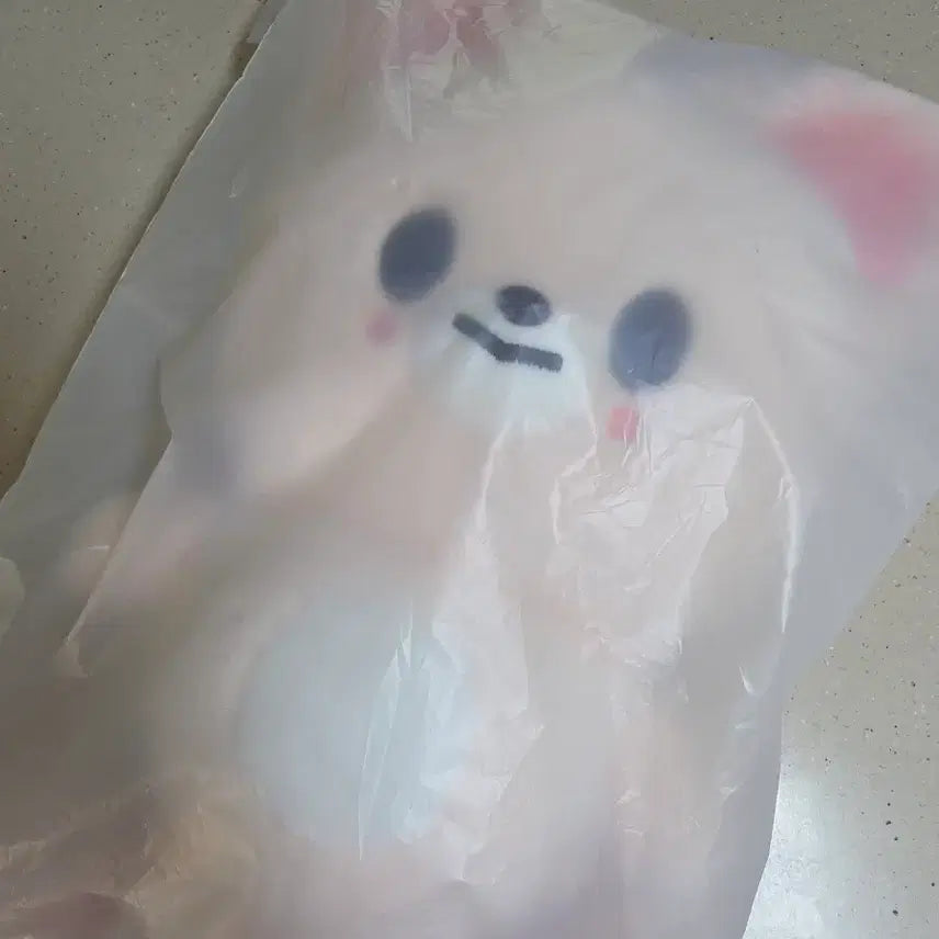 [BUNJANG] Stray Kids Skzoo Plush Backpack Fox Ny / 스키주 플러시 백팩 폭시니 스트레이키즈 인형 가방