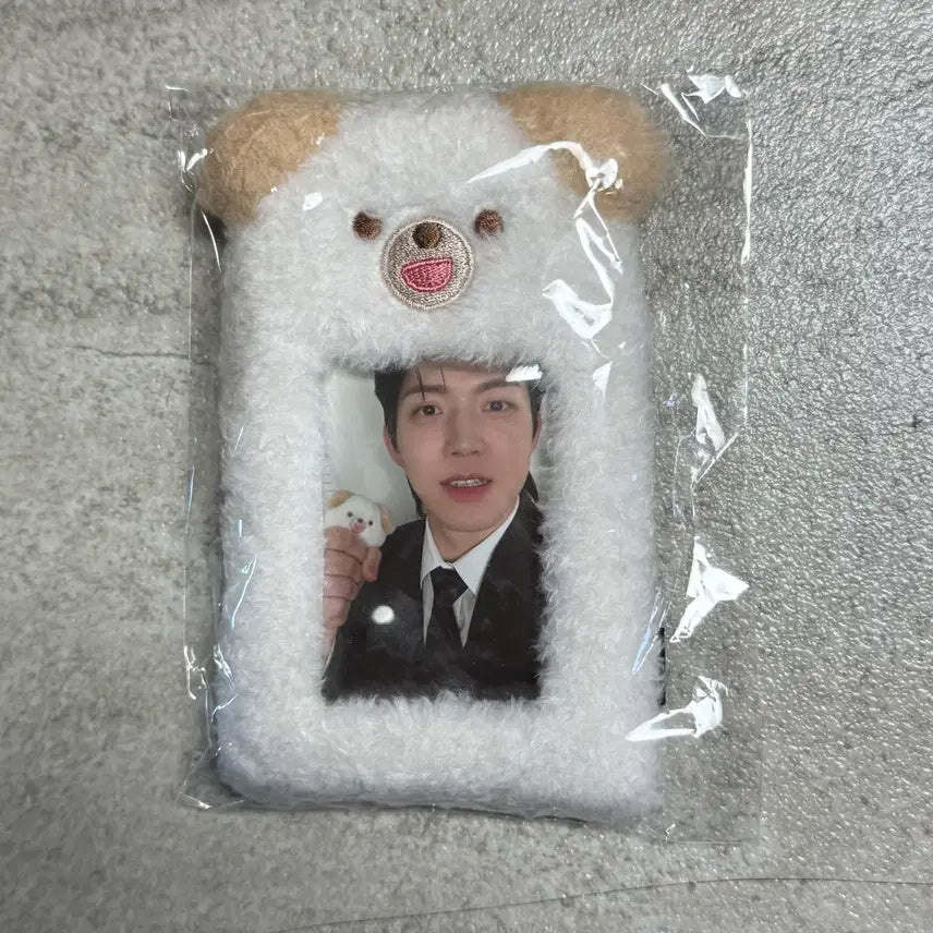[BUNJANG] DAY6 Petit Merz Photocard Holder + Dowoon Photocard Set / 데이식스 쁘띠멀즈 포카홀더 + 도운포카 세트 원가이하