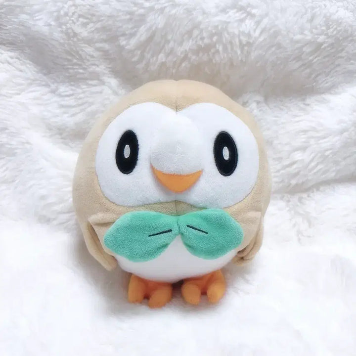 [BUNJANG] Pokemon Center 2016 Rowlet Plush Doll / 포켓몬센터 2016년도 나몰빼미 인형