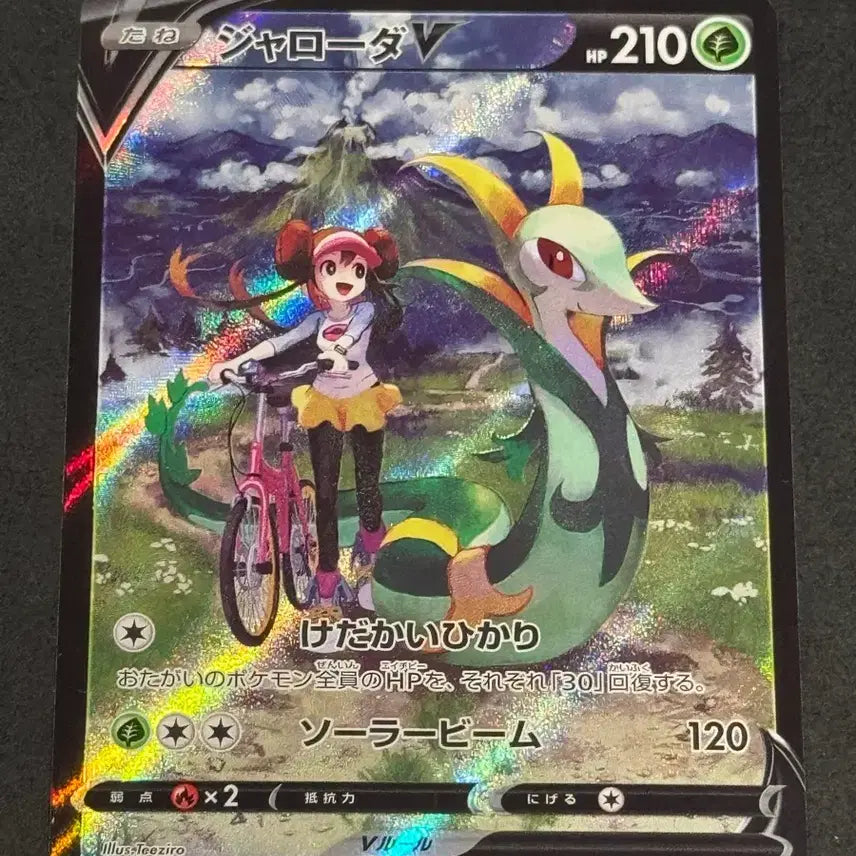 [BUNJANG] Charizard V 