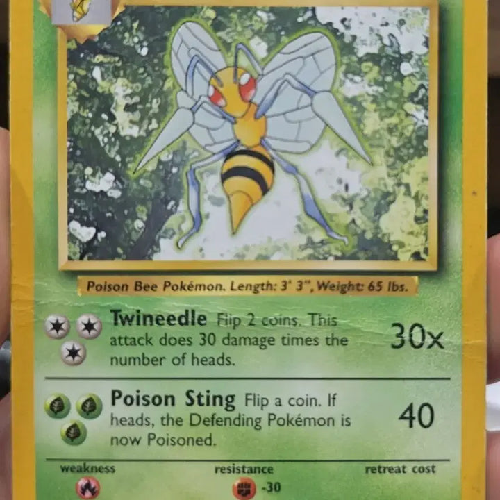 [BUNJANG] Pokemon Beedrill Card (Folded) / (포켓몬) 꿀 모으다가 지쳐서 반접힌 독침붕 카드