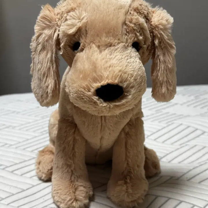 [BUNJANG] Jellycat Tilly Golden Retriever Plush Toy / jellycat 틸리 골든 리트리버 젤리캣 정품