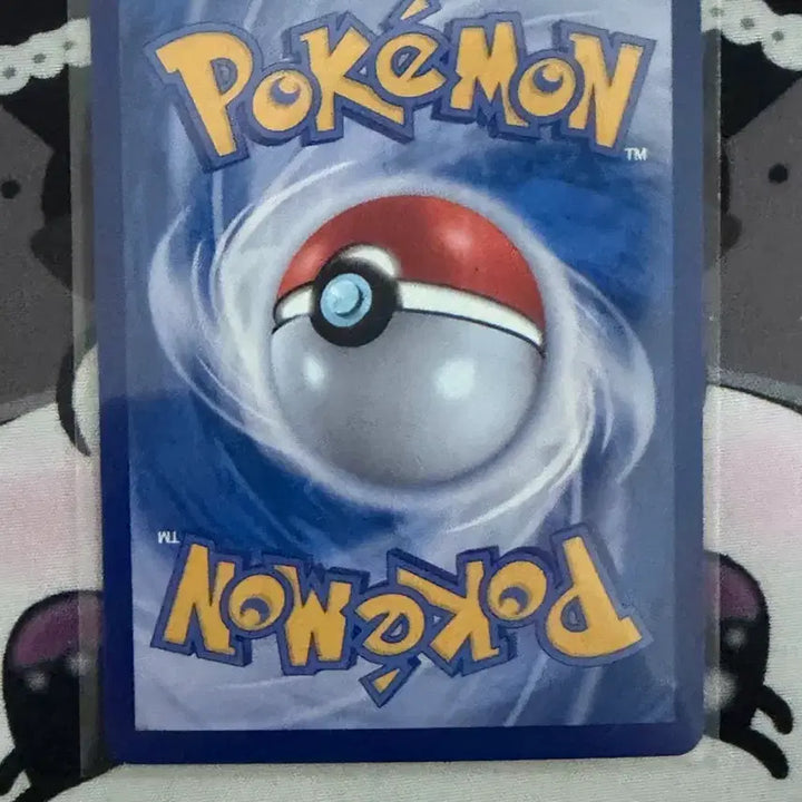[BUNJANG] Pokemon Cards Groudon/Kyogre/Mega Aggron AR/AR/SAR Bundle Set / 포켓몬카드 그란돈/가이오가/메가갑주무사 ar/ar/sar 일괄 판매