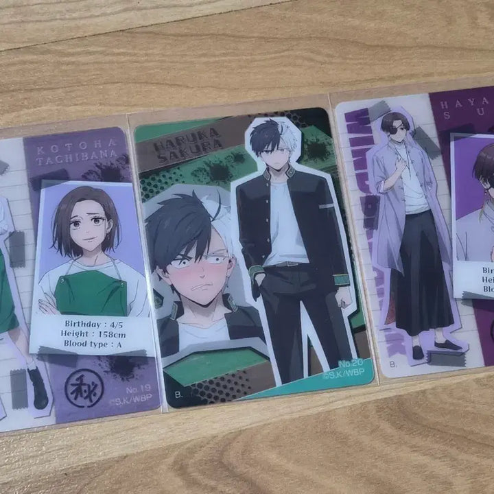 [BUNJANG] Wind Breaker Bundle Set Photocard / 일괄)윈브레 윈드브레이커 포카 포토카드