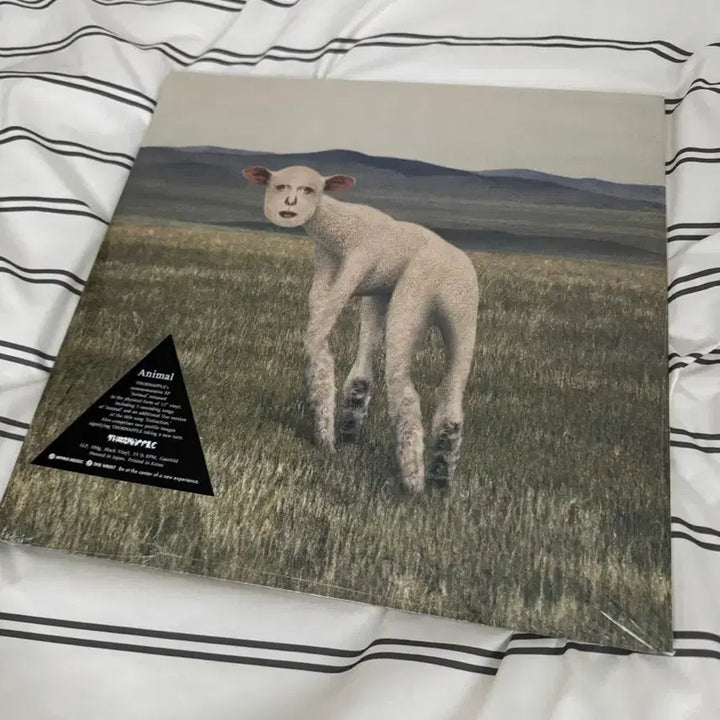 [BUNJANG] Thornapple EP Animal LP Sealed / 쏜애플 EP 동물 LP 미개봉
