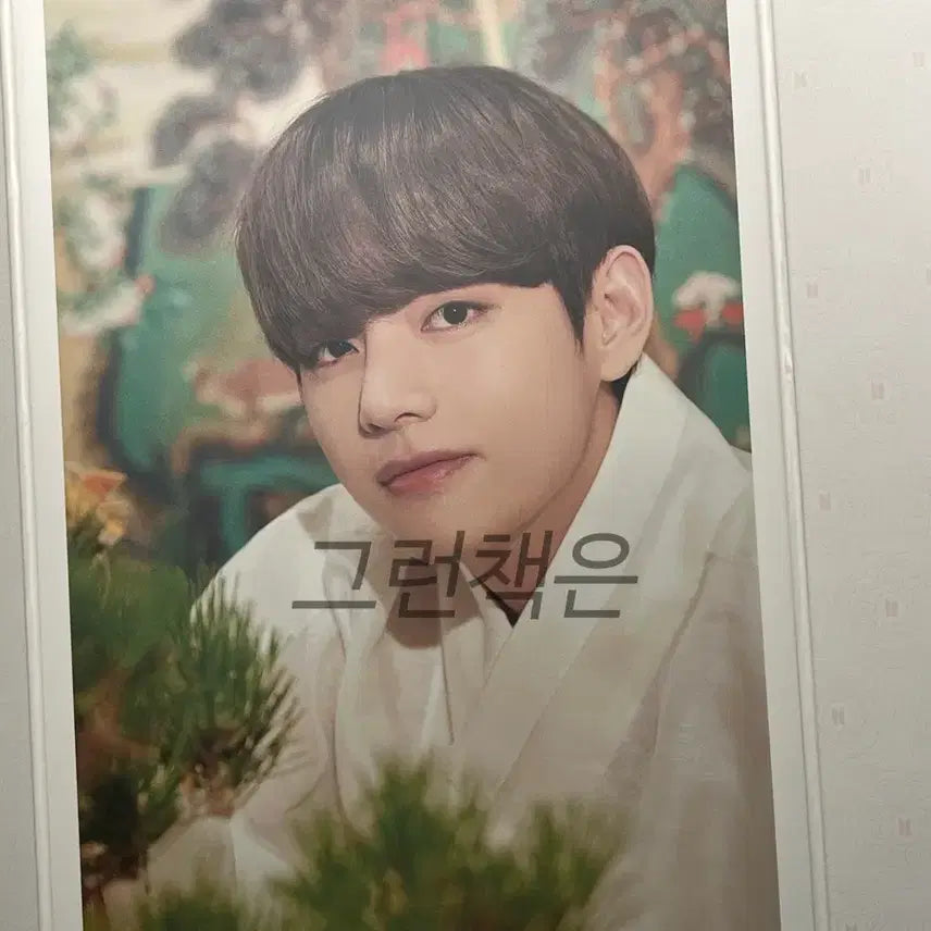 [BUNJANG] BTS Taehyung Flip Photo Set + Unofficial Goods Bundle / BTS 방탄소년단 태형 굿즈 일괄(공식+비공)