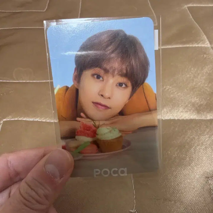[BUNJANG] EXO Xiumin Xiuweet Time Photocard / EXO 시우민 포카