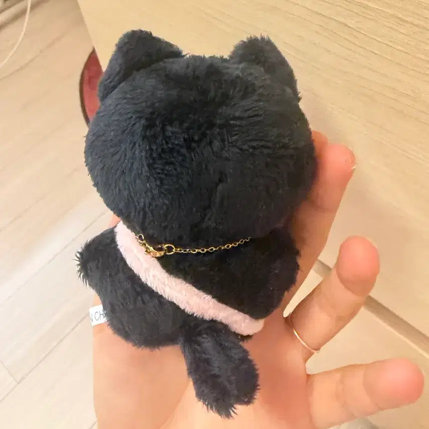 [BUNJANG] RIIZE Wonbin Nyanbbi Plush Doll with Star Necklace / 라이즈 원빈 냥삐 (별 목걸이 포함)