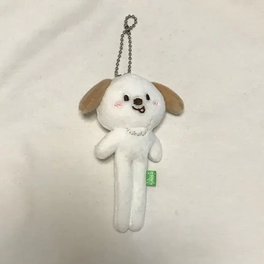 [BUNJANG] RIIZE Anton Long Leg Doll / 라이즈 앤톤 롱다리 멍룡이