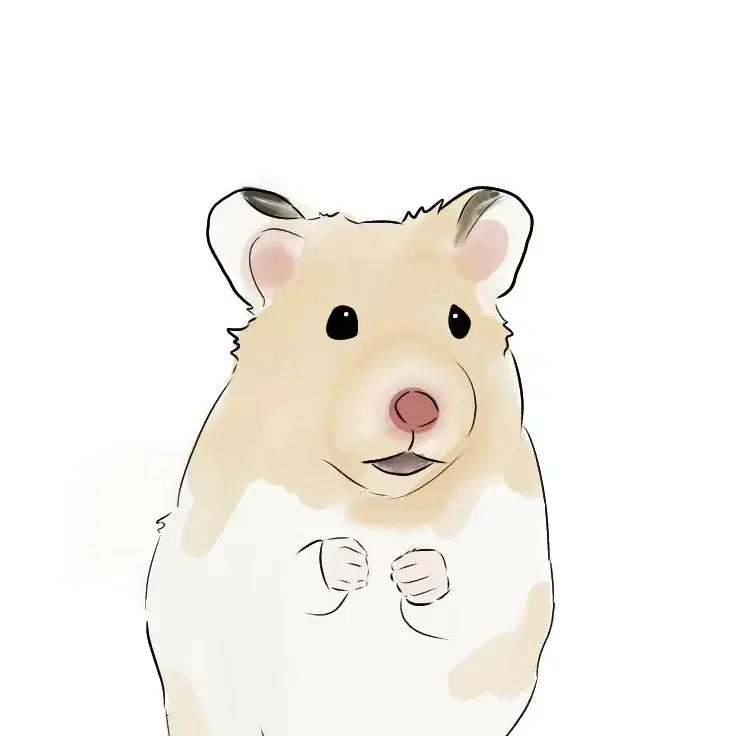 [BUNJANG] Custom Pet Portrait Commission / 반려동물 그려드립니다
