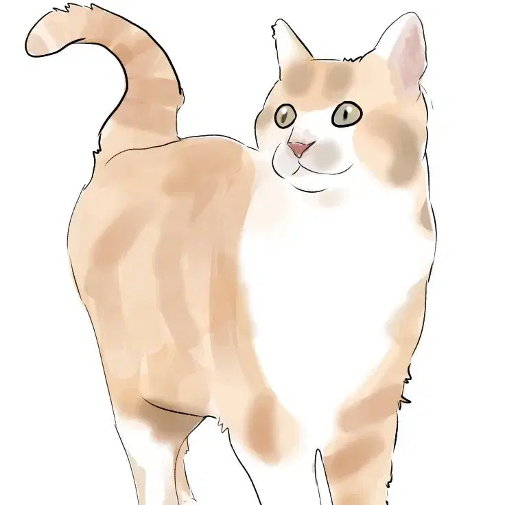 [BUNJANG] Custom Pet Portrait Commission / 반려동물 그려드립니다