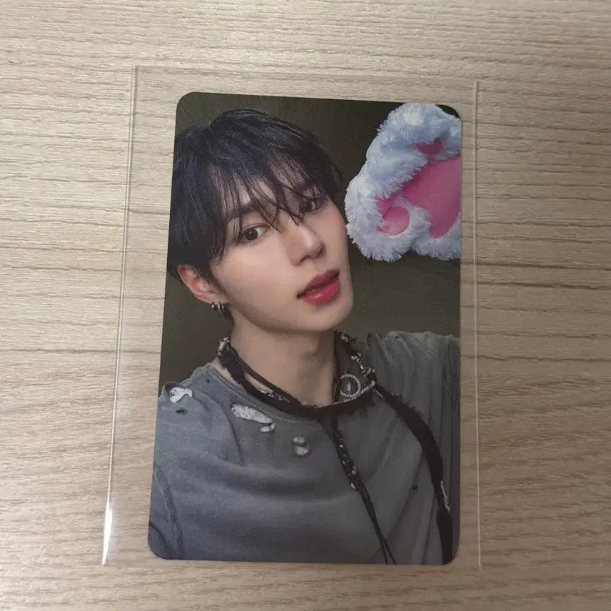 [BUNJANG] ALDI ONE Apple Music Kim Junseo Photocard (POB) / 알디원 애플뮤직 김준서 미공포 포카 쿠마발바닥 양도 판매