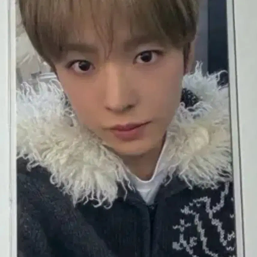 [BUNJANG] NCT WISH Wishini Mini Bubble Nyan Ni Yuushi Photocard / 에눌 가능)) 엔시티위시 위시니니 버블냥니 유우시 포카