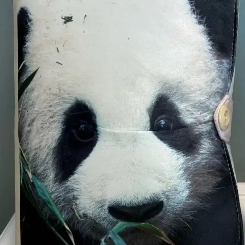 [BUNJANG] Fu Bao Baby Panda Cushion / 푸바오 아기판다 쿠션