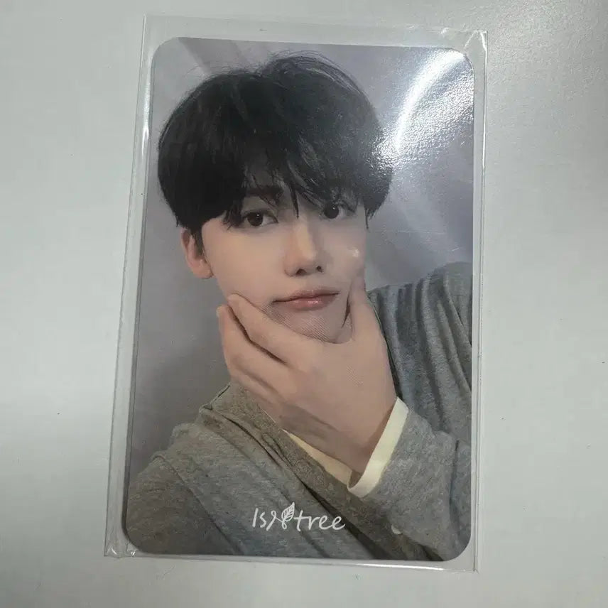 [BUNJANG] NCT Dream Jaemin A to Z Photocard / 엔시티드림 재민 이즈앤트리 포카