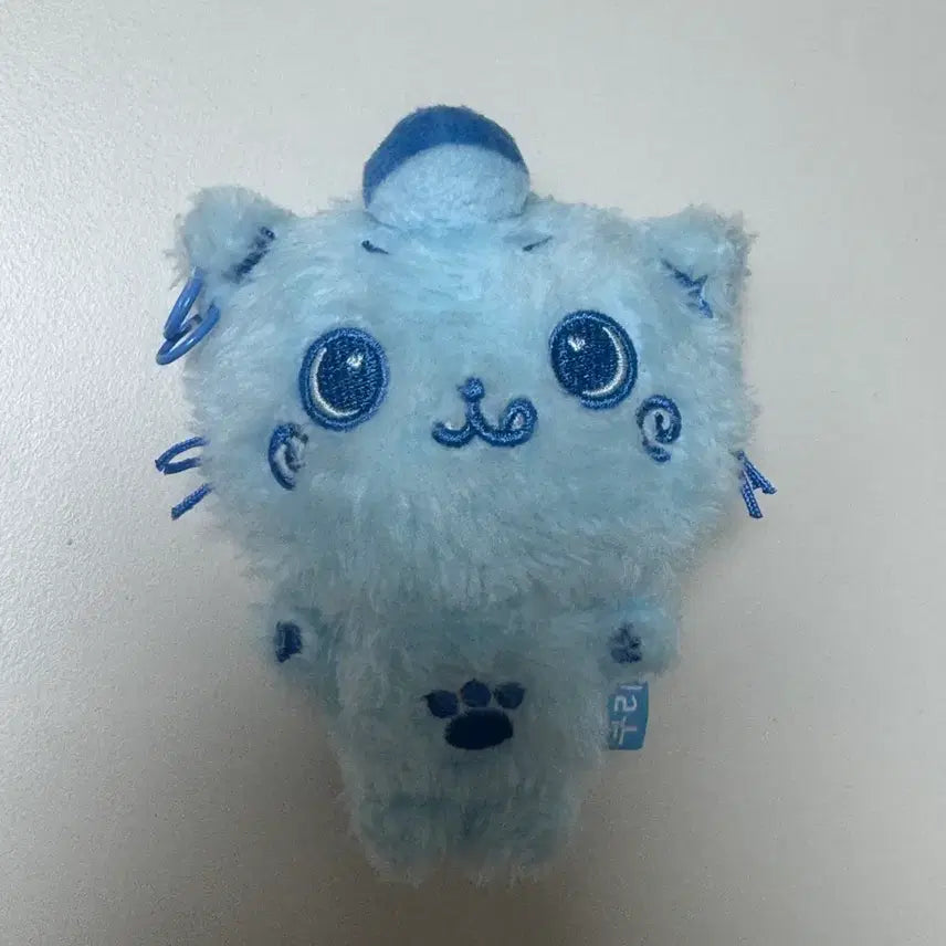 [BUNJANG] Color Wish Doll Blue Kuri / 컬러 위시돌 파랑 쿠리