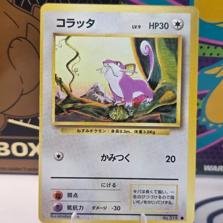 [BUNJANG] Pokemon Card Rattata Japanese Old Card No.019 / 포켓몬카드 꼬렛 일본판 구형 카드 No.019