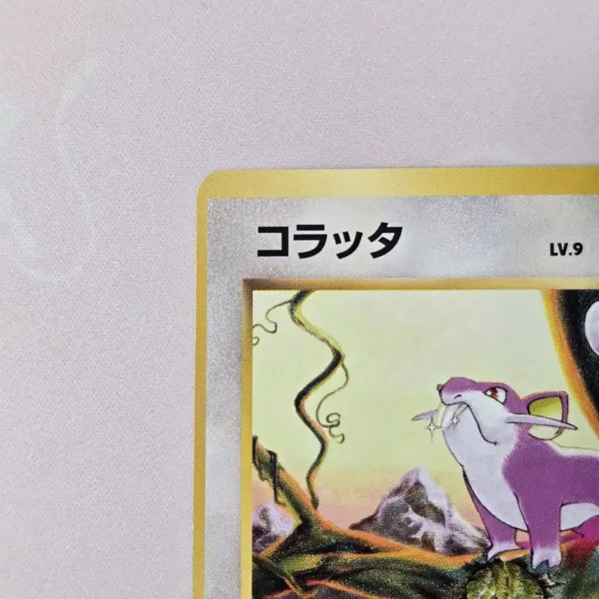 [BUNJANG] Pokemon Card Rattata Japanese Old Card No.019 / 포켓몬카드 꼬렛 일본판 구형 카드 No.019
