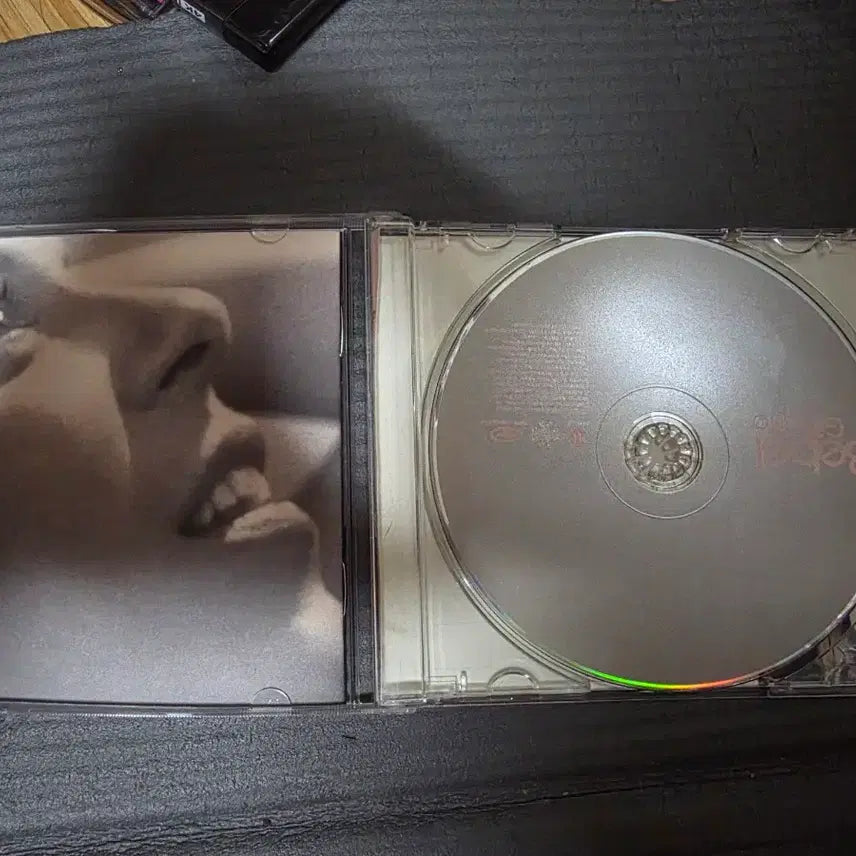 [BUNJANG] Bebel Gilberto Jazz Bossa Nova Brazil Female Singer CD / 베벨 길베르토 CD 재즈 보사노바 브라질 여가수