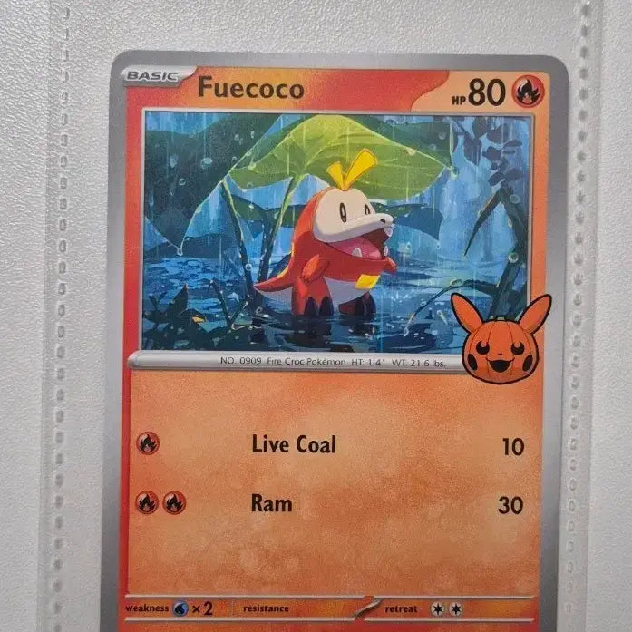 [BUNJANG] Pokemon Card Scraggy Halloween North American Edition (A Grade) / 포켓몬 카드 뜨아거 북미판 상태 A급 (할로윈)
