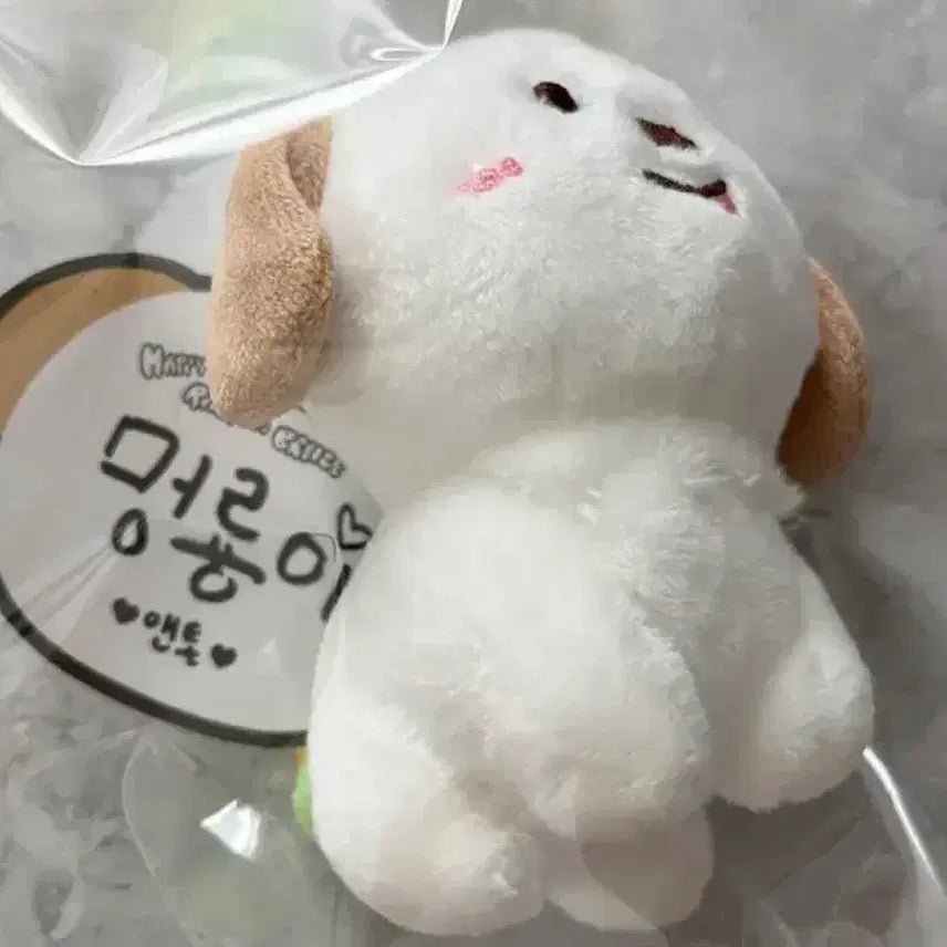 [BUNJANG] RIIZE MengRyong-i 1st Generation 10cm Doll / (택 달려있음,설명참고)라이즈 멍룡이 1기 10cm