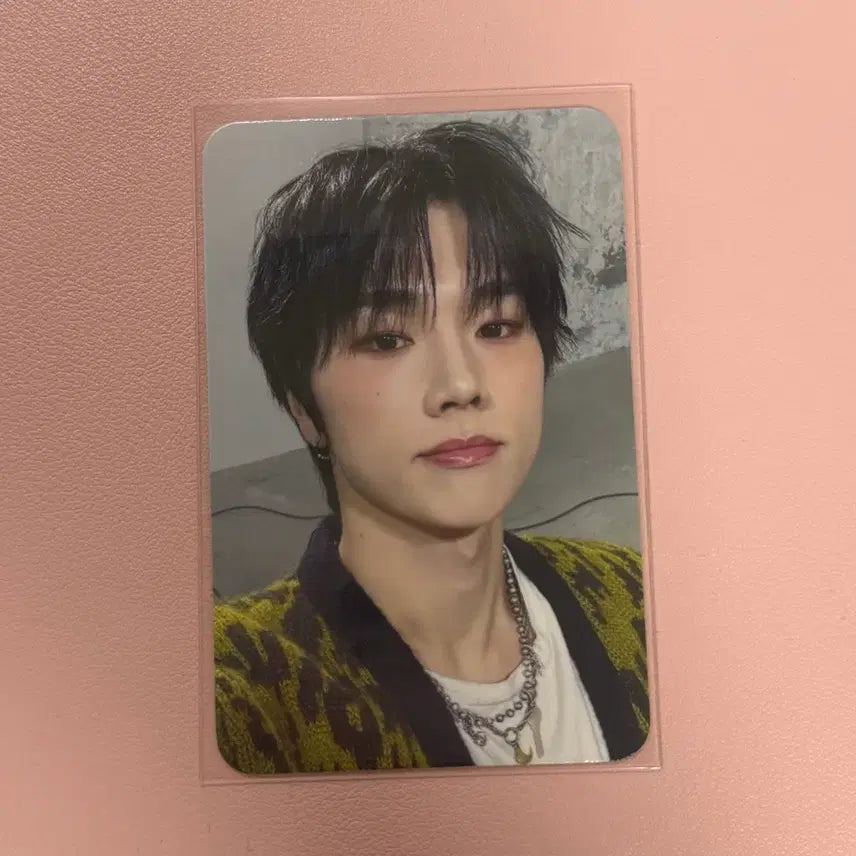 [BUNJANG] Xdinary Heroes Beautiful Mind Mamute POB Photocard Jungsu / 엑스디너리히어로즈 엑디즈 뷰티풀마인드 마뮤테 미공포 포카 정수