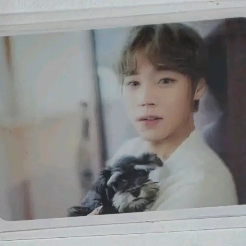 [BUNJANG] Park Ji Hoon Dicon Transparent Photocard / 박지훈 디아이콘 투명 포카