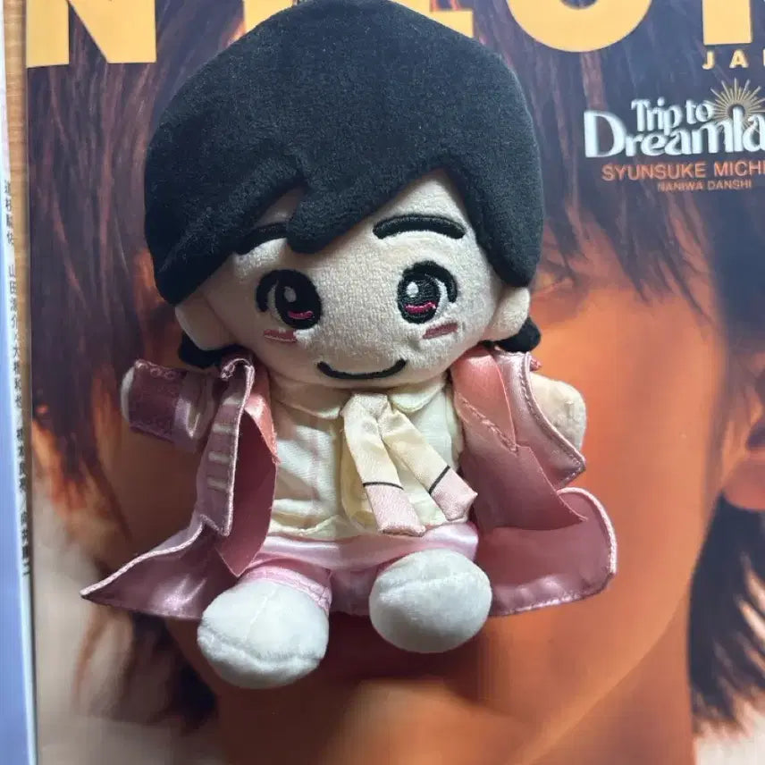 [BUNJANG] Naniwa Danshi Michieda Shunsuke Plush Doll / 나니와단시 미치에다 슌스케 누이
