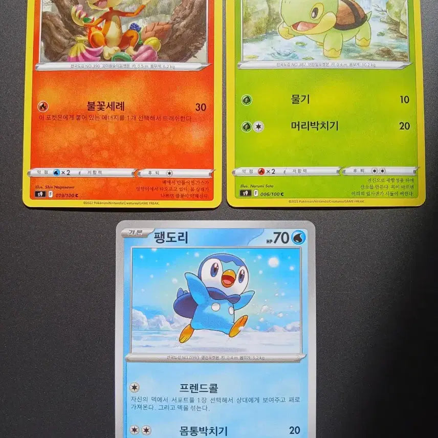 [BUNJANG] Pokemon Trading Card Bundle Set / 스타팅 포켓몬 카드 불꽃숭이 모부기 팽도리 3장 일괄