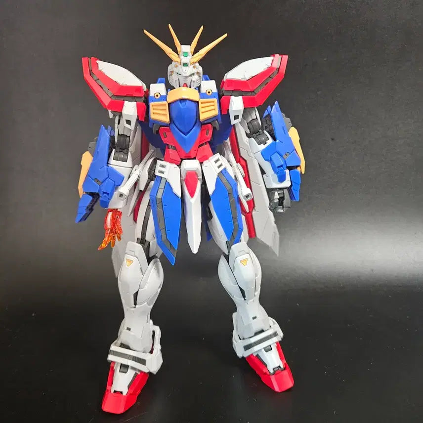 [BUNJANG] Fat Cat GUNDAM 1/100 GAT-X105 GUNDAM / fat cat 팻캣 1/100 갓건담