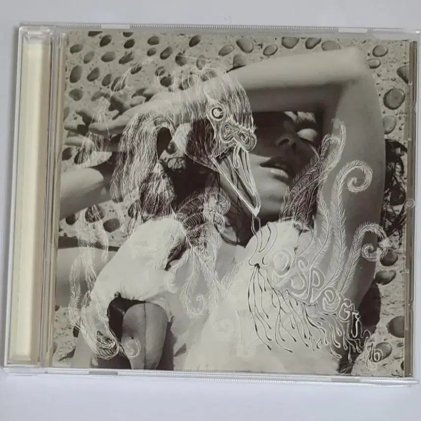 [BUNJANG] Bjork Vespertine CD Album / 비요크 Vespertine 앨범 시디 CD